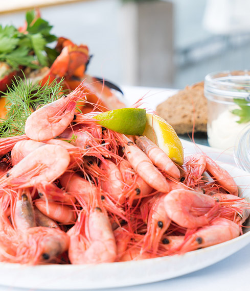 Marisco GmbH - Produkte